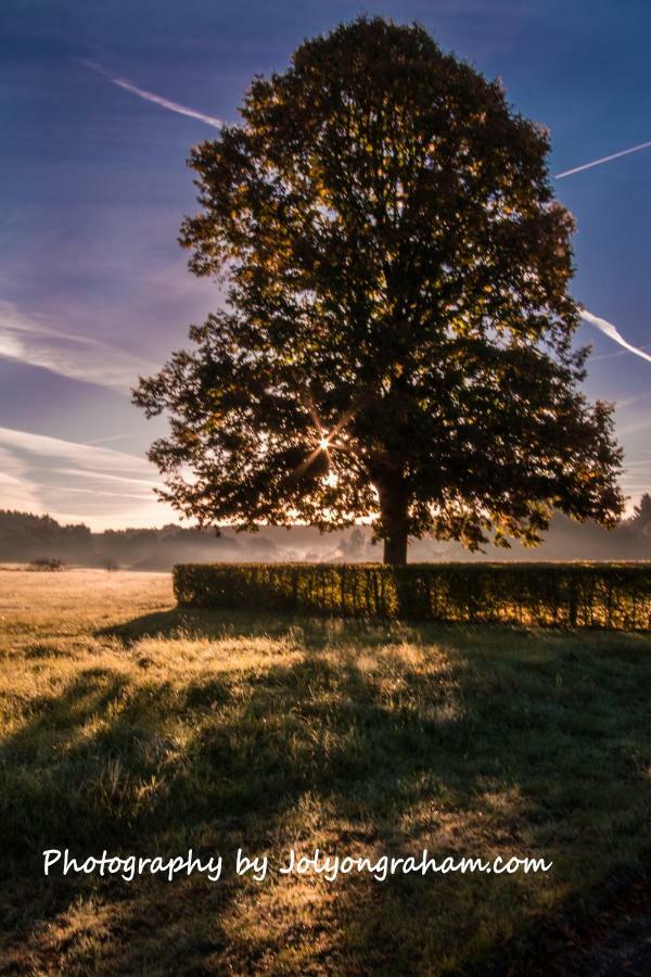 Haus Am Dreifelder Weiher Dreifelden Buitenkant foto